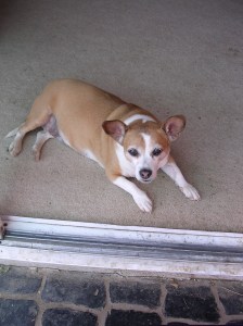 Kelly Kelly demonstrates her favorite relaxing pose!