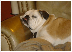 Screen Shot 2013-11-30 at 11.17.16 AM