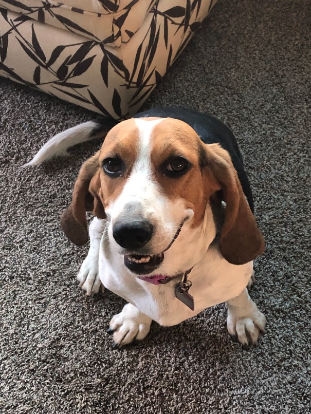 59347839786__C1152E56-8F3C-4019-84CF-483BCFD13CBB