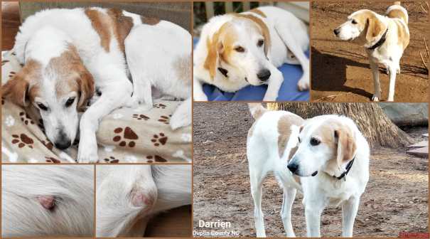 Darrien 3.19.20 4 small.jpg